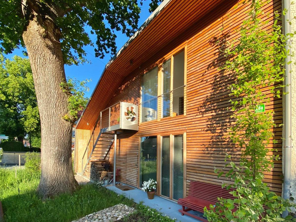 Loft Mit Dachterrasse Lägenhet Bernau am Chiemsee Exteriör bild