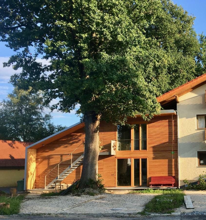 Loft Mit Dachterrasse Lägenhet Bernau am Chiemsee Exteriör bild